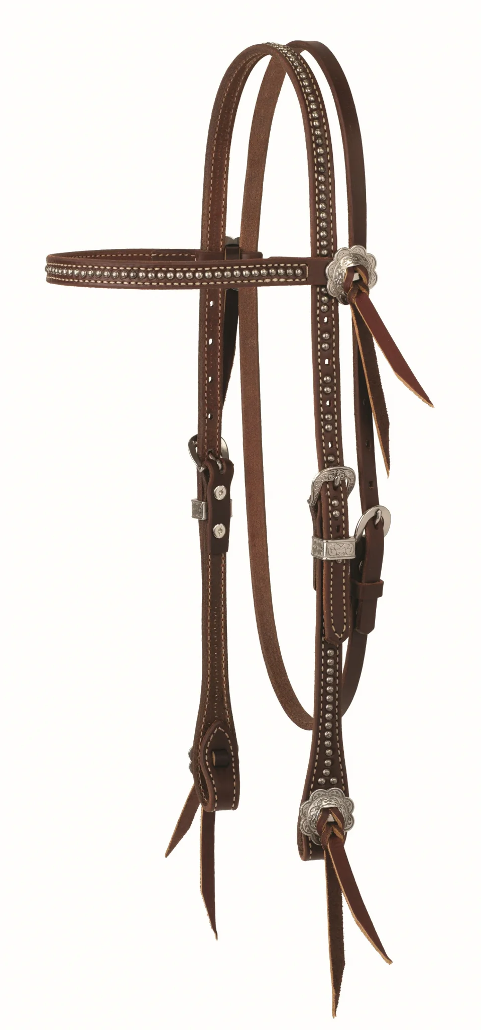 New for Horses